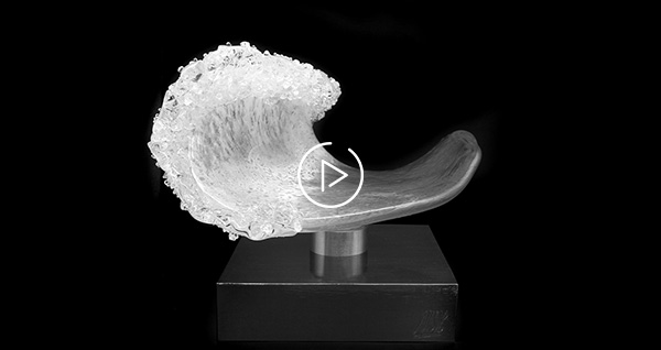 The Wathann film festival main award by Jitka Skuhrava